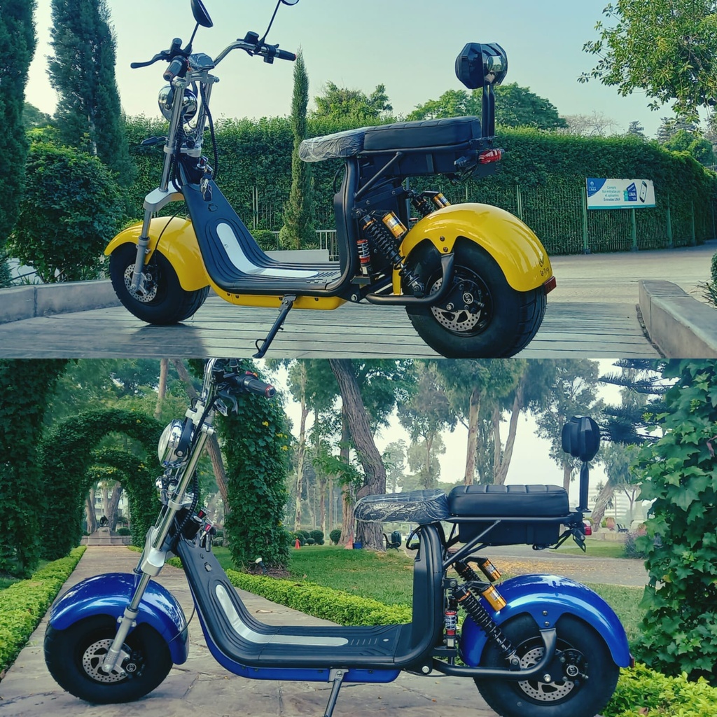 Moto eléctrica [3875000000001]