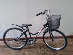 Bicicleta campera